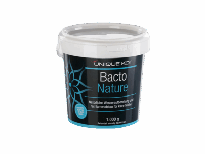Baut den Schlamm im Teich ab und bindet Trübstoffe
