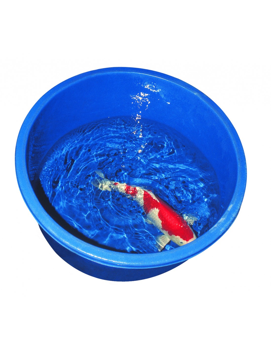 koi-inspektionswanne