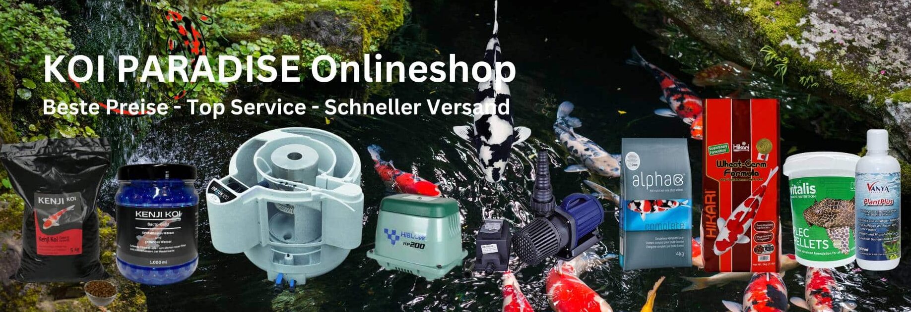 Koiparadise.de Koi, Teich & Aquaristik Shop!